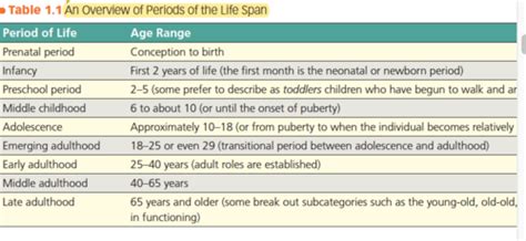 Lifespan Development Flashcards Quizlet