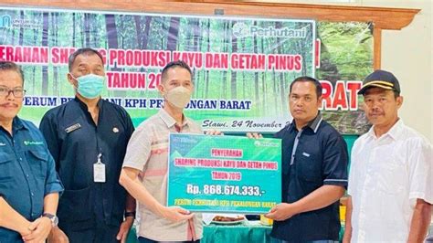 Perhutani Kph Pekalongan Barat Serahkan Sharing Produksi Kayu Getah