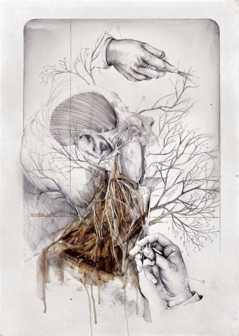 Anatomical Illustrations By Nunzio Paci Ignant Painting Art Artwork