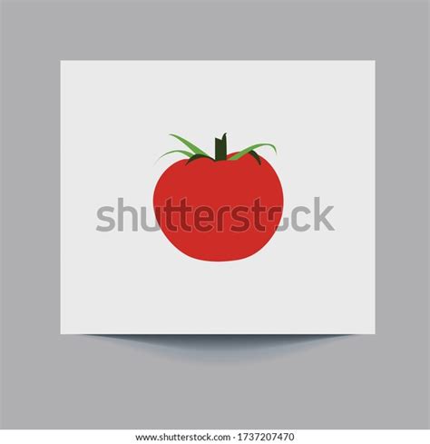 Tomato Isolated Single Simple Cartoon Illustration Stock Vector