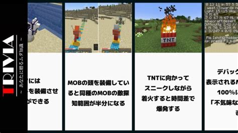 上級者でも意外と知らないマイクラ雑学 04【雑学・比較・まとめ】 Minecraft Summary マイクラ動画