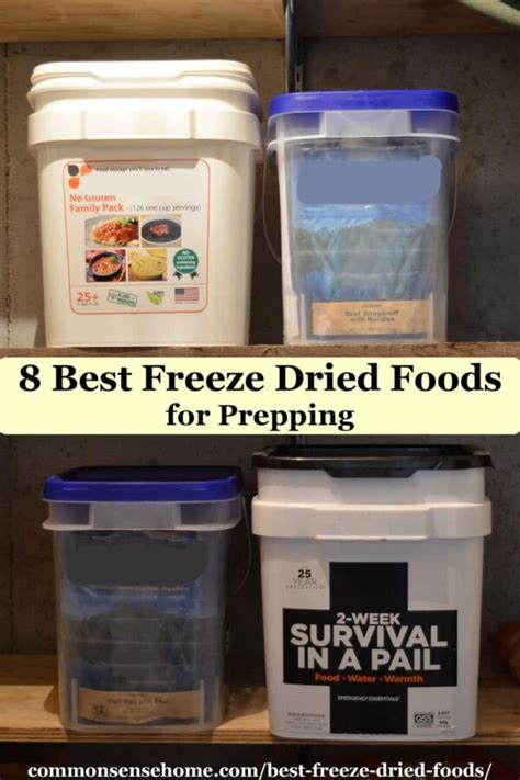 8 Best Freeze Dried Foods For Prepping Long Term Food Storage