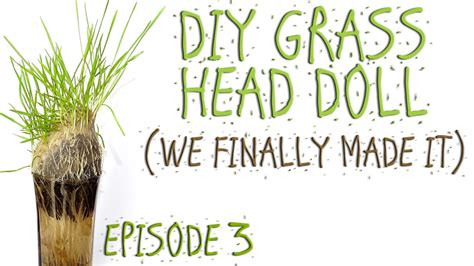 Diy Grass Head Doll Simple But Very Cool Experiment Youtube