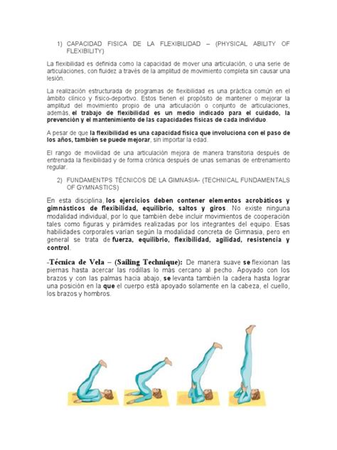 Capacidad Fisica De La Flexibilidad Pdf