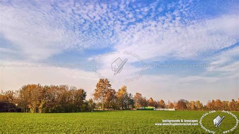 Country landscape with trees background 21034