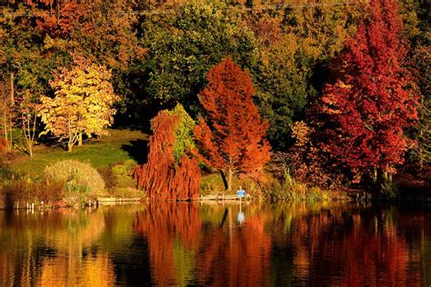 Calendrier Pourquoi Cette Ann E Lautomne D Bute Le Septembre