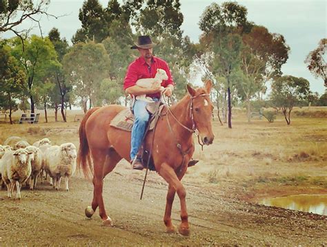 The Woolshed At Jondaryan Visit Darling Downs Queensland