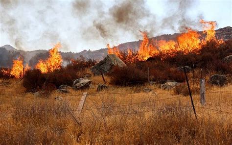 Durante tres años Durango ha ocupado el primer lugar en incendios