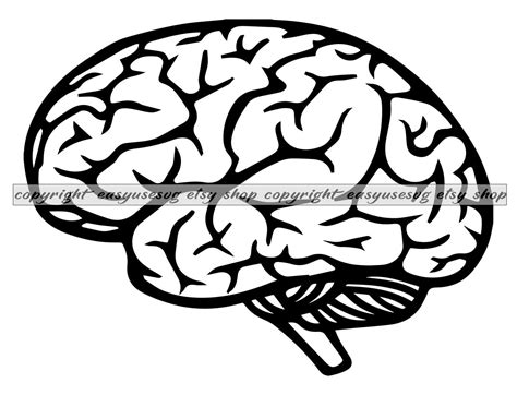 Brain Svg Brain Dxf Brain Png Brain Clipart Brain Etsy