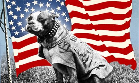 Meet Sergeant Stubby: The Most Decorated War Dog in History - The ...