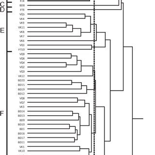 Dendrogram From A Hierarchical Cluster Analysis Of The Fauna Caught At