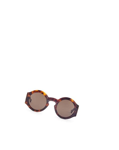 Loewe Curved Sunglasses In Acetate Shiny Classic Havana Loewe México