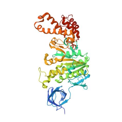 Rcsb Pdb J S Cryo Em Structure Of Mycobacterium Tuberculosis Atp