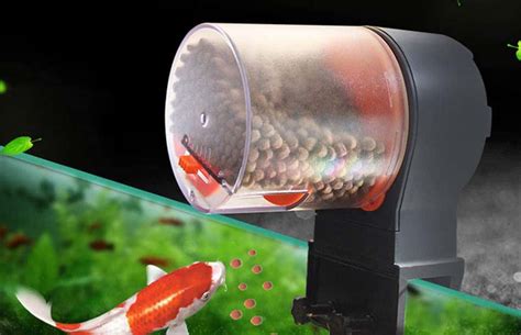 Top Best Automatic Fish Feeders In Reviews Buyer S Guide