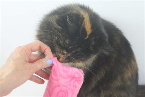 DIY Cat Toy ~ Easy to Sew DIY Cat Kicker Toy~Nifty Thrifty DIYer