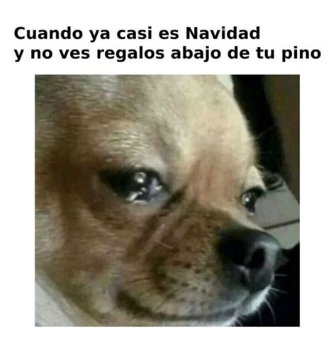 Navidad a distancia Las imágenes y memes más divertidos para