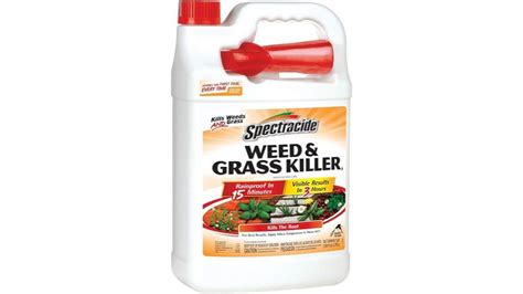 Best Weed Killers For Flower Beds That Will Keep Your Garden