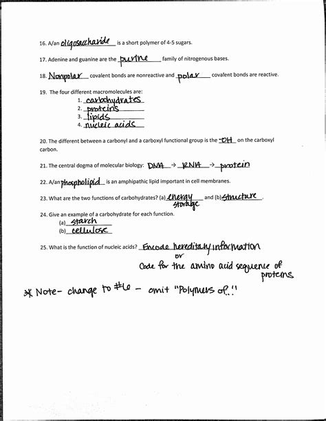 Amoeba Sisters Macromolecules Worksheet