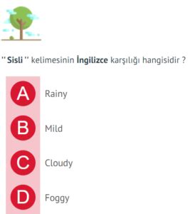 S N F Ngilizce Nite Tourism Testleri Z Online