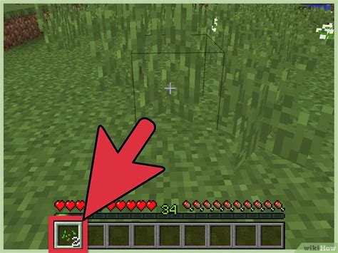 4 Formas De Plantar Semillas En Minecraft WikiHow