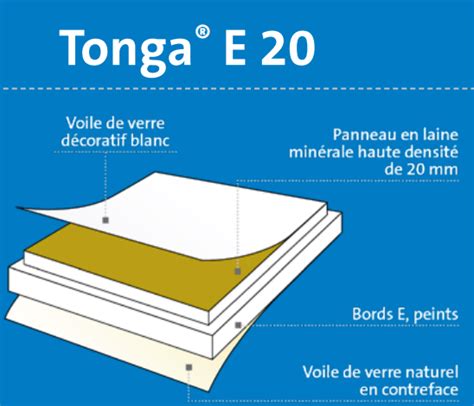 DALLE PLAFOND TONGA E20 BLC 600X600 20MM