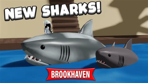 🦈 Sharks New Year Update 🥳 Brookhaven Rp Roblox 2024 Youtube