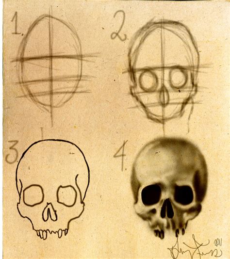 How To Draw A Skull Stepbystep By Dforssten On Deviantart