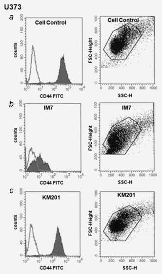 Flow Cytometric Evaluation Of Cell Surface Cd44 Expression In Human