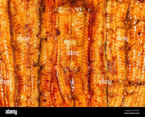 Anago Nigiri Hi Res Stock Photography And Images Alamy