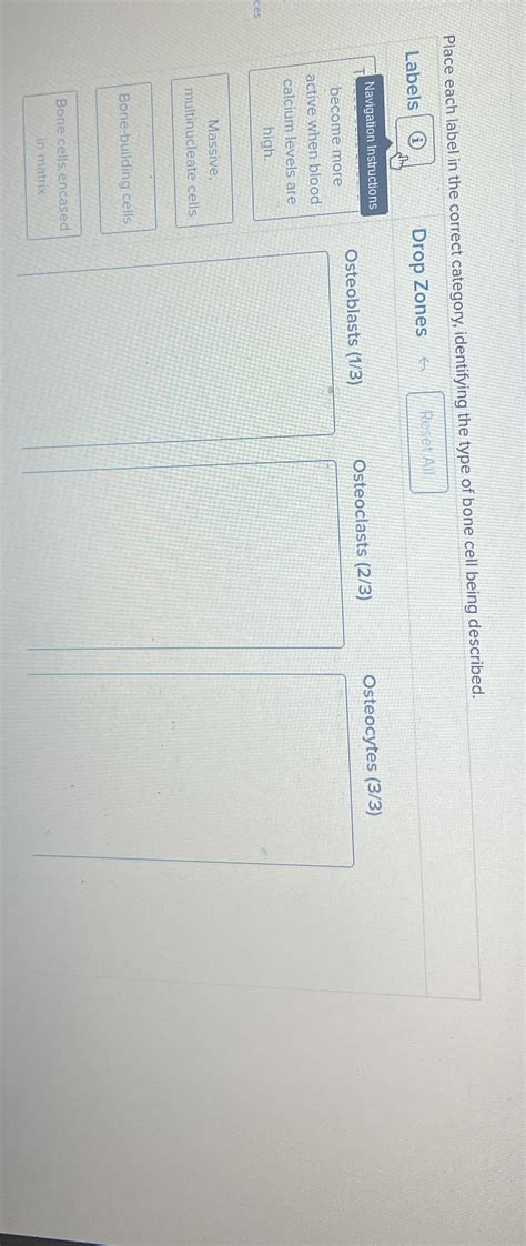 Solved Place each label in the correct category, identifying | Chegg.com