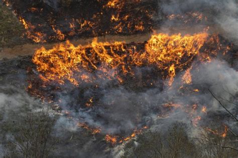 Incendios Forestales Lo Peor Está Por Venir