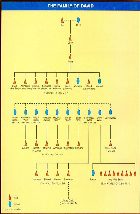 King David Children Chart