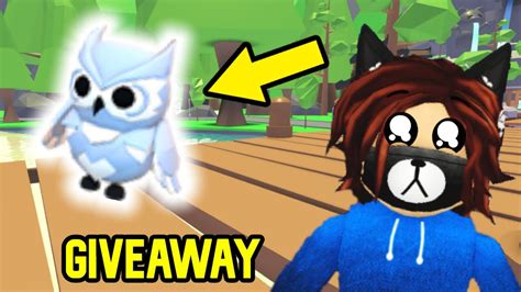 Snow Owl Giveaway Adopt Me Ended Youtube