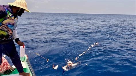 Catching King Fish Rosy Snapper In The Deep Sea YouTube