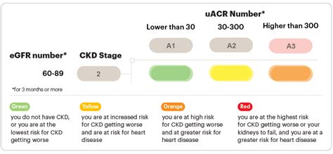 Stage 2 Chronic Kidney Disease (CKD) | National Kidney Foundation