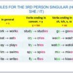 Have/Has, Do/Does, Don't/Doesn't - 3rd Person Singular