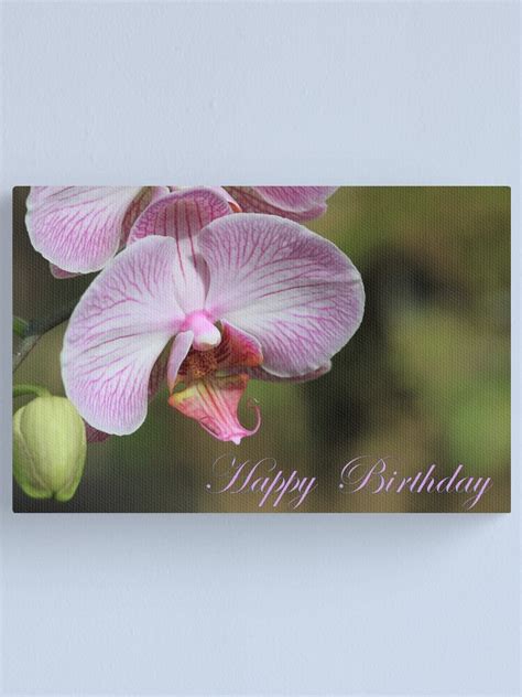 Happy Birthday Orchids