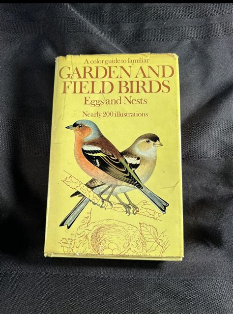 A Color Guide To Familiar Garden And Field Birds Eggs And Nests Etsy