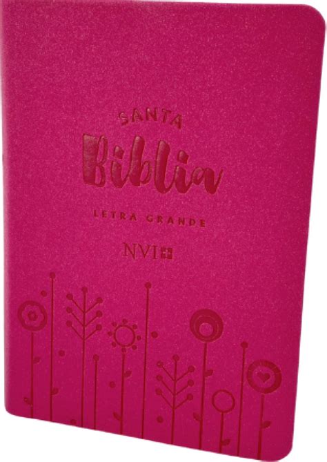 Biblia Nvi Compacta Letra Grande Tama O Manual Imitaci N Piel Fuscia