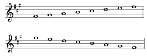 The F Sharp Natural Minor Scale Theory - Guitar Tuner - Guitar Tunio