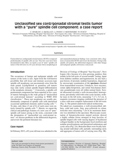 Pdf Unclassified Sex Cordgonadal Stromal Testis Tumor With A Pure