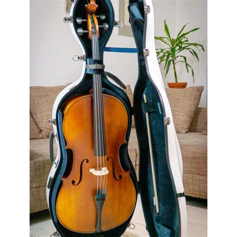 Cello Cases Crossrock Case Company