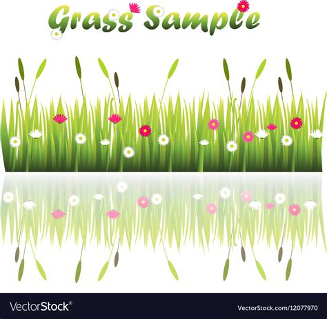 Grass with flowers Royalty Free Vector Image - VectorStock