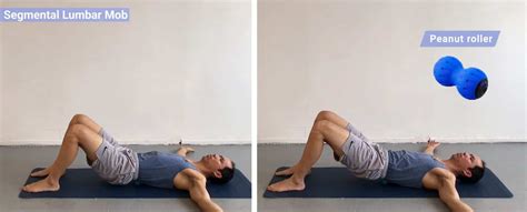 5 Multifidus Exercises for a Strong & Stable Lumbar Spine | PrecisionMovement.coach