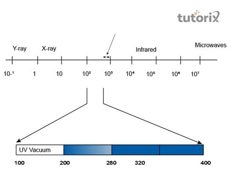 The Electromagnetic Spectrum Ultraviolet Rays