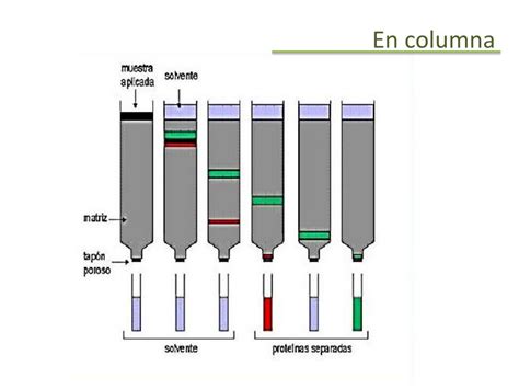 PPT CROMATOGRAFÍA líquida PowerPoint Presentation free download ID