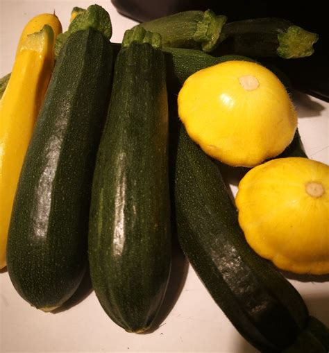 Marlborough Farmers’ Market | Local Fresh Produce