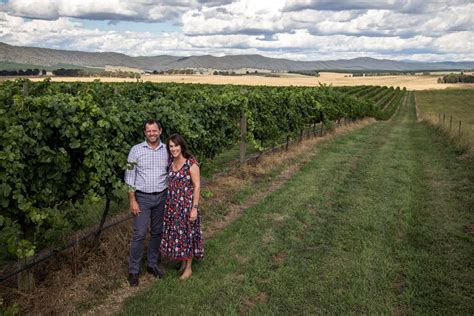 Allegiance Wines Tumbarumba Wine