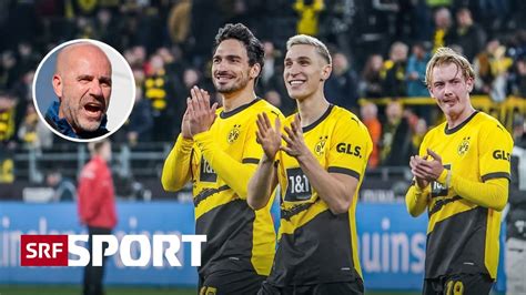 Letzte Chance Champions League BVB Gegen PSV Eindhoven Unter Druck