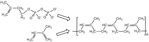 Difference Between Vulcanized and Unvulcanized Rubber | Properties, Process of Vulcanization